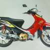 shogun