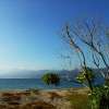 DSC03732.p