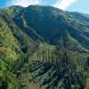 bromo