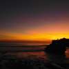 DSC 013772 1.p